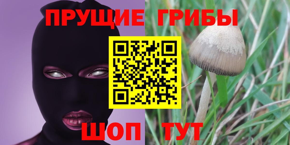 Галлюциногенные грибы прущие грибы Энгельс